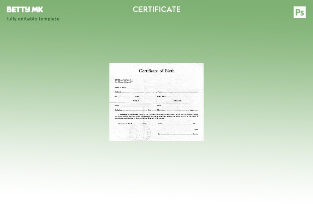 Модерен стил Шаблон за извод од матична книга на родените на Окружниот суд на Со